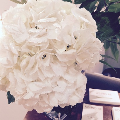 6月紫陽花_f0202682_17103539.jpg