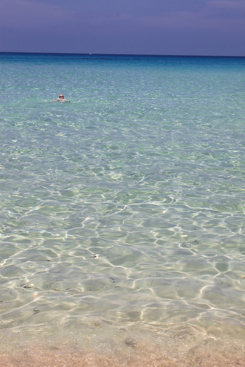 a0137487_420118.jpg