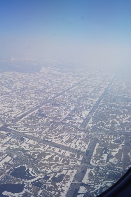 d0181492_19524298.jpg