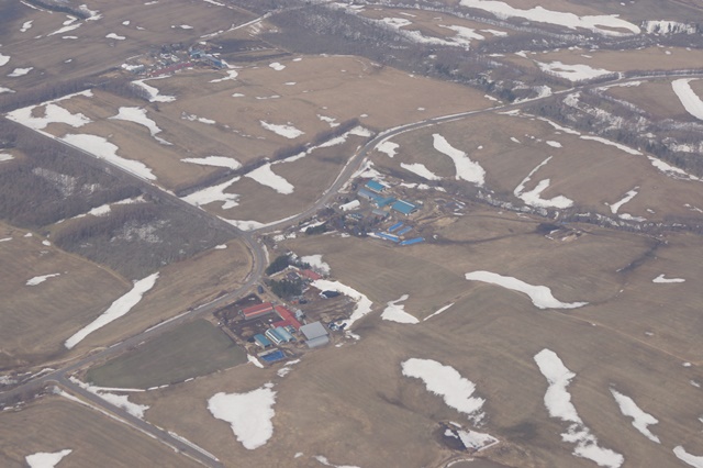 d0181492_19533015.jpg