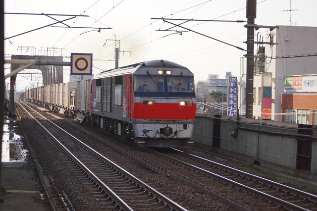d0181492_21927.jpg