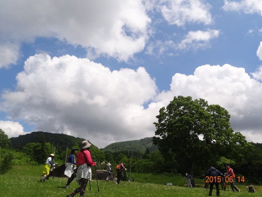 道民の森でノルディック・2015初夏。