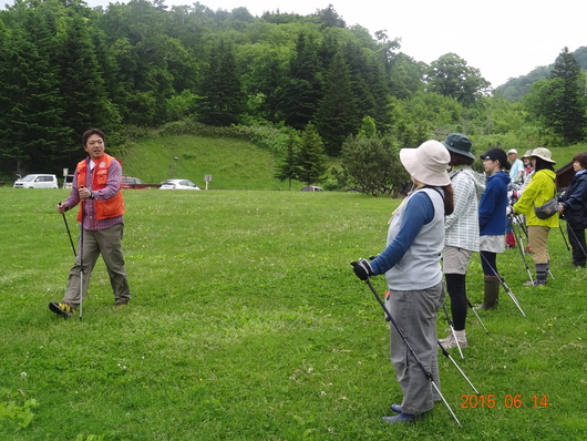 道民の森でノルディック・2015初夏。_d0198793_18381081.jpg