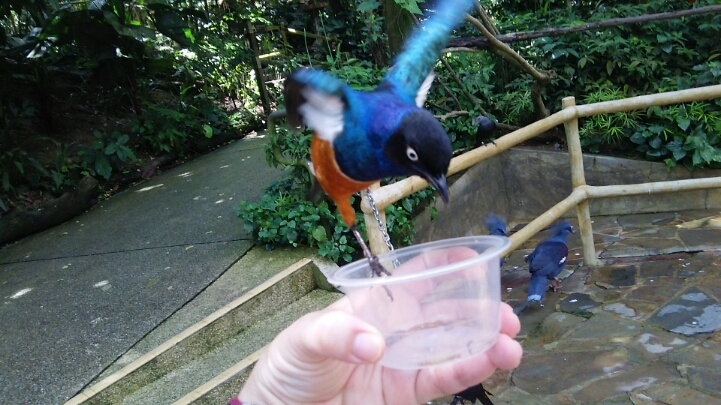 c0212604_1913454.jpg