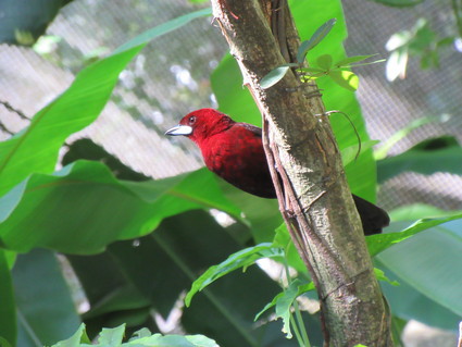 c0212604_22343425.jpg