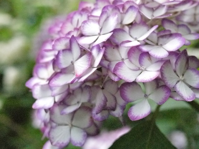 f0274713_22480514.jpeg