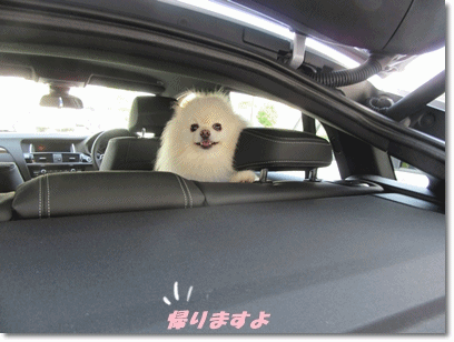 b0167519_13322420.gif