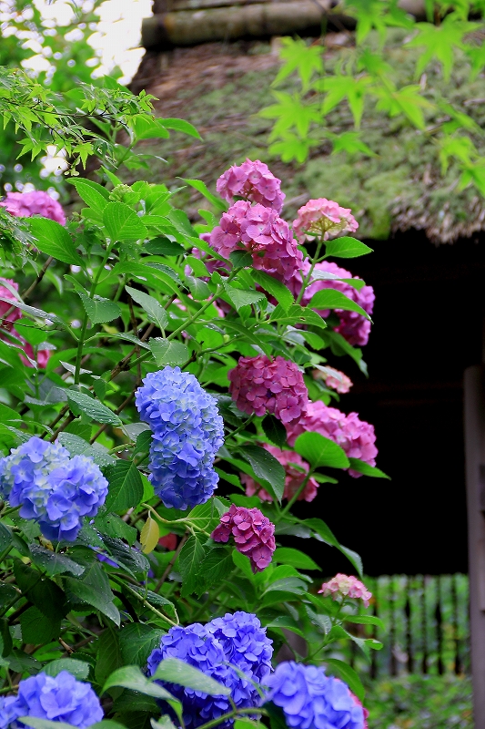 d0085025_221447100.jpg