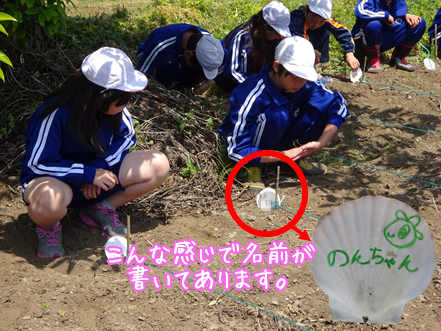 c0259934_15033567.png