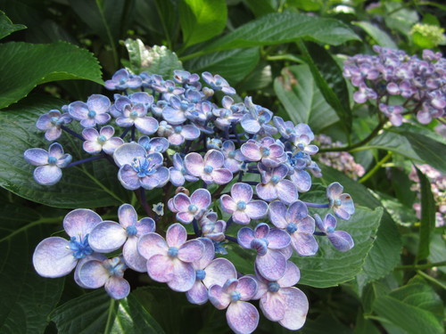 f0229235_7183551.jpg