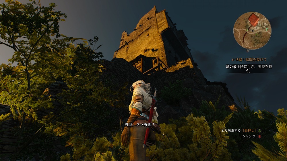 The Witcher3 Wild Hunt 森の貴婦人達その2 新スキル The Witcher3 Wild Hunt 森の貴婦人達その2 新スキル