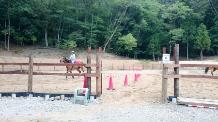 今日もリンダ頑張る_e0145441_15194333.jpg