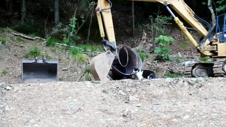今日もリンダ頑張る_e0145441_15223968.jpg