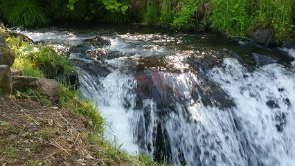 e0319042_016944.jpg