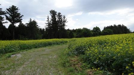 c0237143_23201140.jpg
