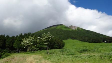 c0237143_23232246.jpg