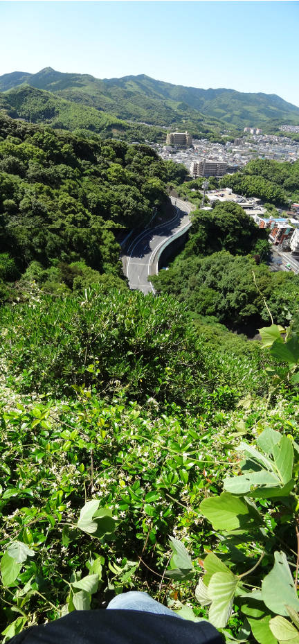 e0033751_18541984.jpg