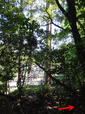 e0033751_19113821.jpg