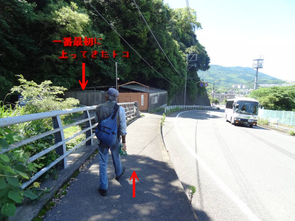 e0033751_19234725.jpg