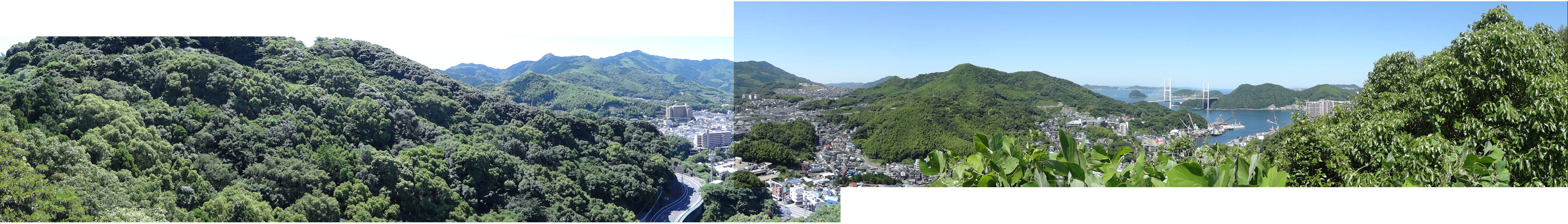 e0033751_1954218.jpg