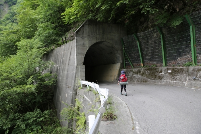 高嶺の花に会いに行こう＠北岳④最終章　2015.06.12(金)～14(日)_f0344554_05304633.jpg