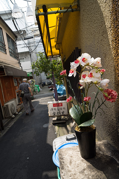 2015/06/17 #αアンバサダー:α7R 武蔵小山界隈_b0171364_11325540.jpg