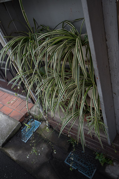 2015/06/17 #αアンバサダー:α7R 武蔵小山界隈_b0171364_11335787.jpg