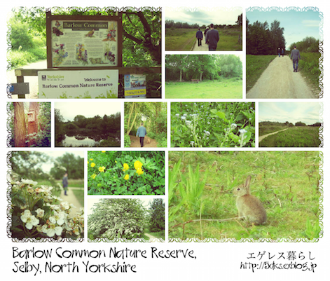 b0299665_061614.png