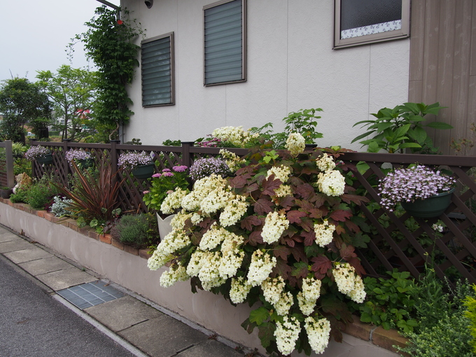b0194267_20115216.jpg