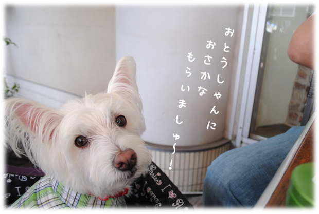 b0242873_01173666.png