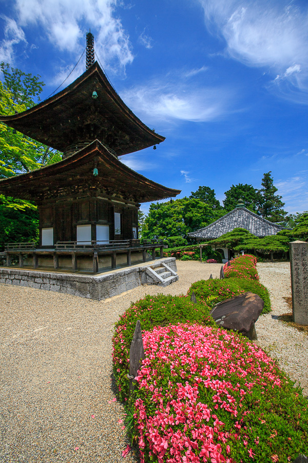 さつきの善峯寺！_b0128581_22455280.jpg