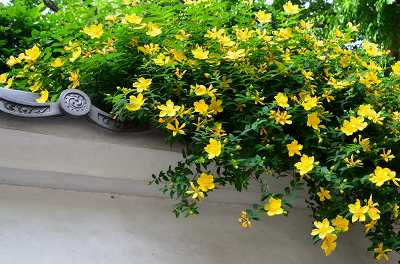 c0229483_109251.jpg
