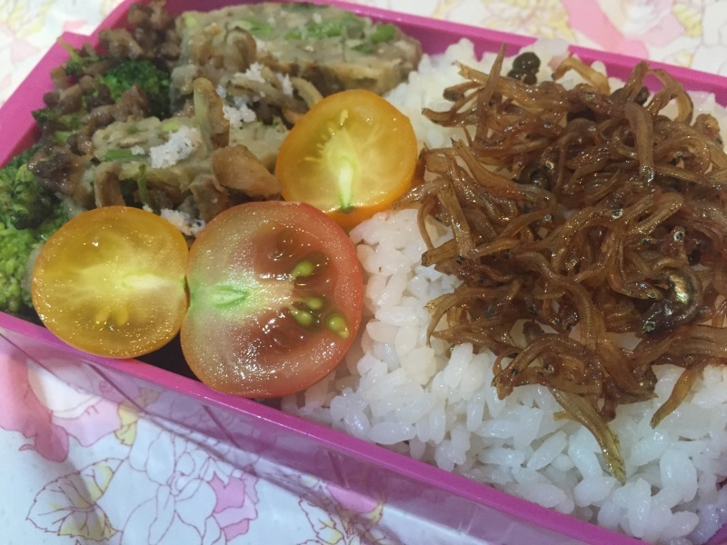 ニーニャンの今日のお弁当。_c0361597_19234129.jpg