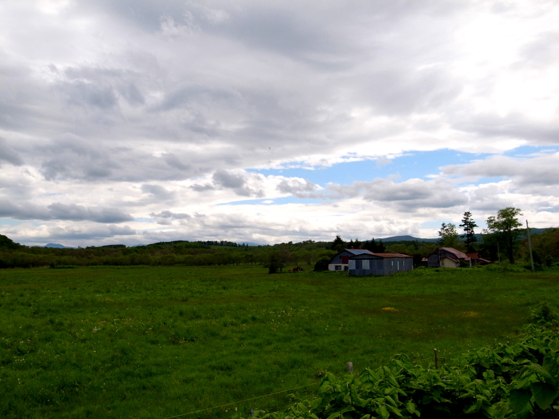 道北釣り旅　その1　天塩川_d0156298_044714.jpg