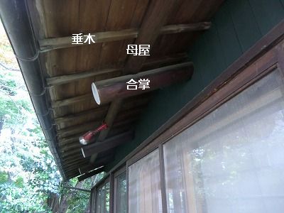b0003400_2052547.jpg