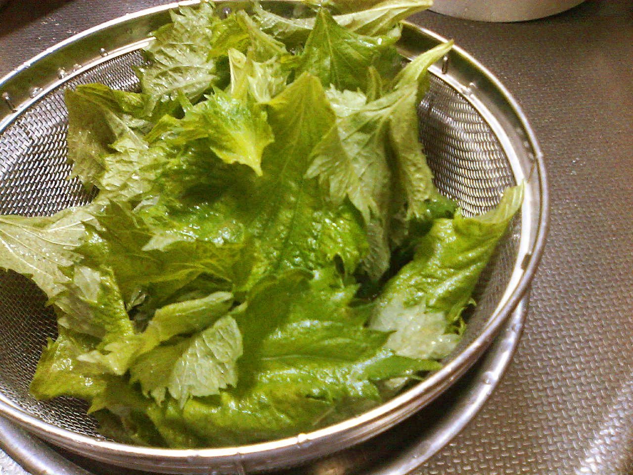 a0291602_2395092.jpg