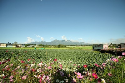 長野(９月１４日)_d0292102_021179.jpg