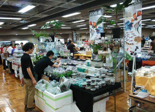 c0165803_2112874.jpg