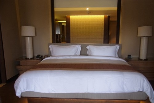 The Ritz-Carlton Bali ～他のカテゴリーのお部屋やその他編～ (\'15年GW)_f0319208_23293570.jpg
