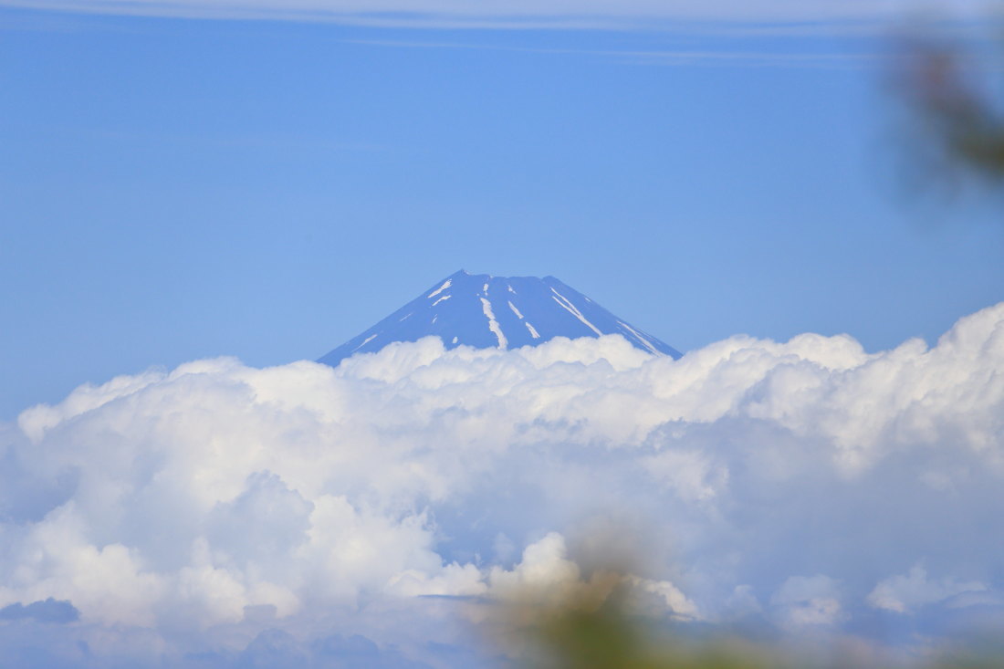 伊豆天城山（シャクナゲコース）〜２〜_f0157812_06574264.jpg