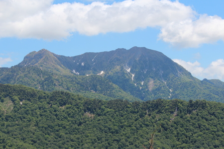 花の中西山～オオバキスミレ_a0315813_9314453.jpg