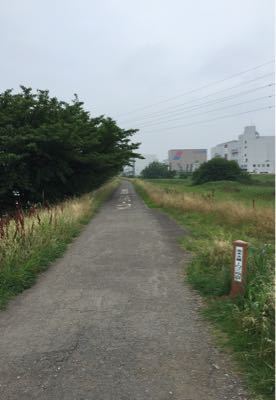 早朝ランニング (69)_b0203925_8362548.jpg