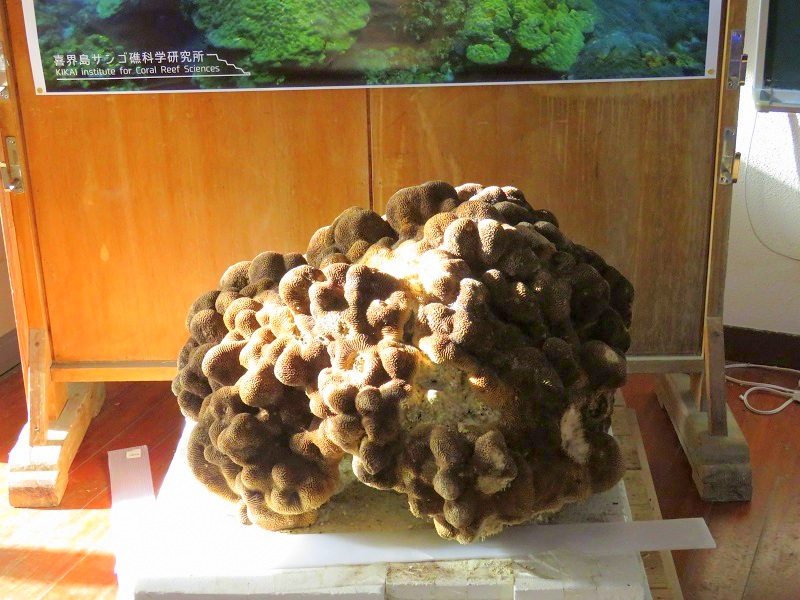 b0288942_8454773.jpg