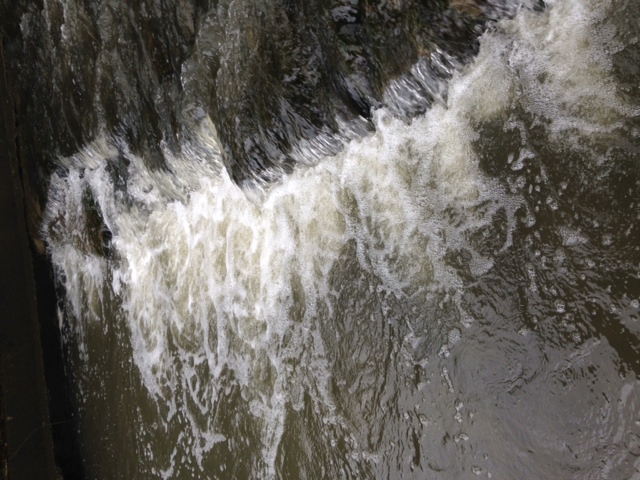 e0271849_04997.jpg