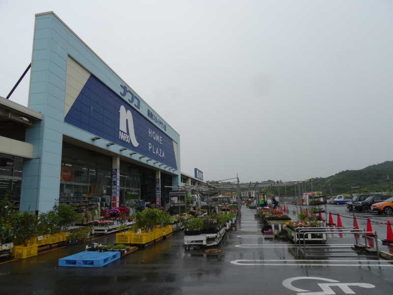 雨で「うみべの森を育てる会定例活動日」は中止_c0108460_20332994.jpg