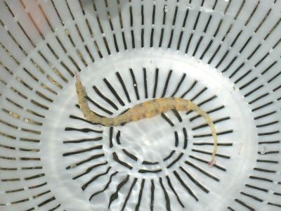 c0180460_11442262.jpg