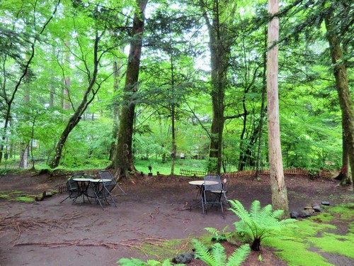 f0236260_2124089.jpg