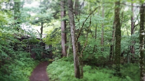 f0236260_21480375.jpg
