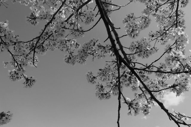 d0154964_23513399.png
