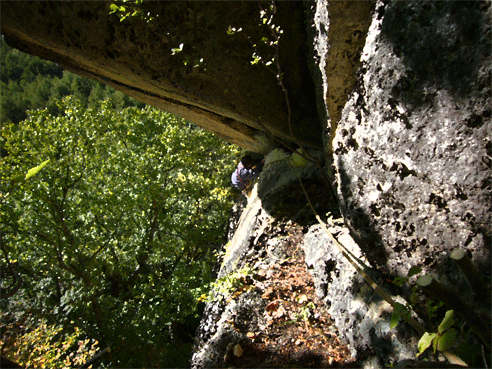 e0010166_14562123.gif